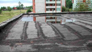 Жители Сельниково добились ремонта протекающей крыши