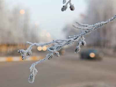 16 декабря в Подмосковье ожидается ледяной дождь и гололедица