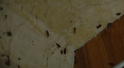 Не жизнь, а выживание