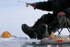В Подмосковье могут ввести штрафы для рыбаков, выходящих на тонкий лед