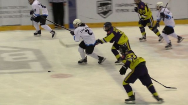 Воскресенская команда победой открыла сезон Женской хоккейной лиги