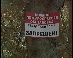 Ограничение на въезд и пребывание граждан в лесах может быть продлено
