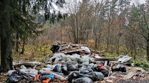 На уборку мусора в лесах выделили более 170 млн рублей