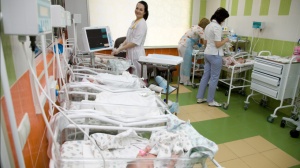 Документы для новорожденного в Подмосковье: как оформить?