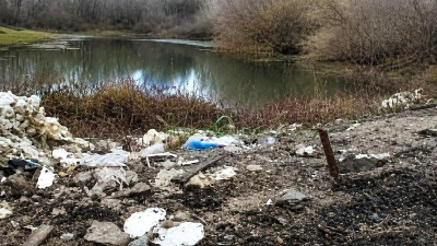 Арендатору земельного участка в Коломне выписали штраф