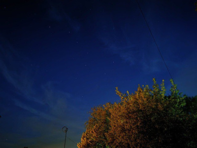 Тропические ночи накроют Подмосковье