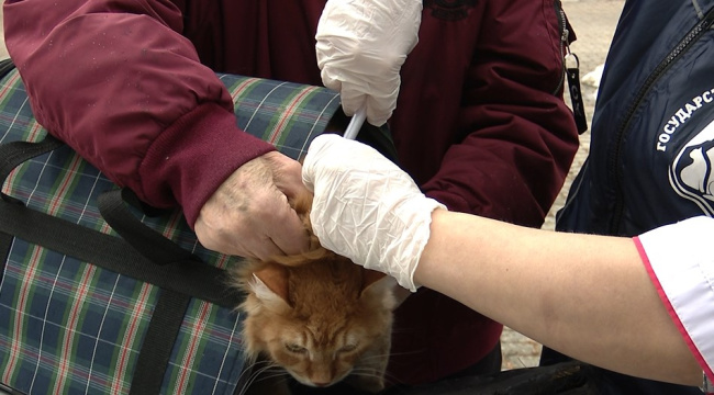 Выездная прививочная кампания против бешенства 