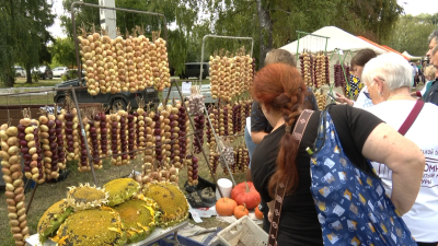 Лука – море, а скуки – ни капельки