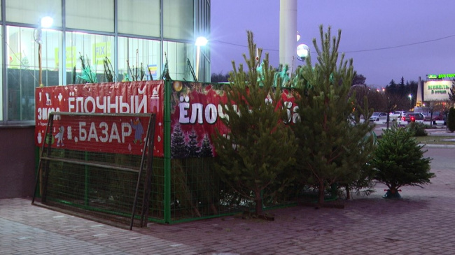 Пять официальных ёлочных базаров