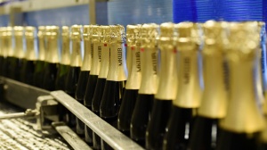 Коньяк и шампанское проверят на соответствие Новому году