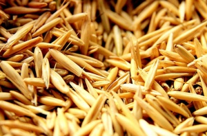 В Коломенском районе заготовлено более 800 тонн зерна