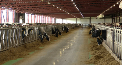 Как привлечь молодёжь к работе в аграрном секторе?