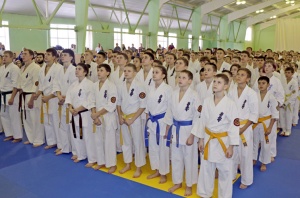 В выходные в Луховицах состоятся чемпионат и первенство России по киокусинкай