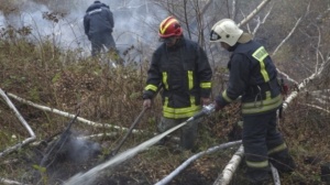 В Подмосковье утвержден сводный план тушения лесных пожаров на 2017 год