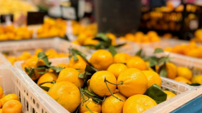 В Подмосковье прилавки розничных торговых сетей стремительно заполняют мандарины