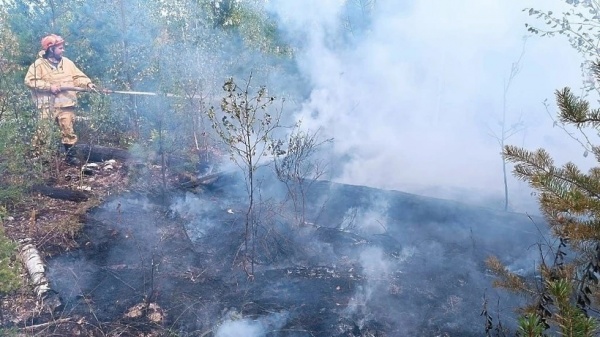 За сутки в лесах Подмосковья произошло 15 пожаров
