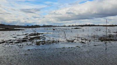 В Луховицах уровень воды в Оке снизился на 22 см, до 103,13 м