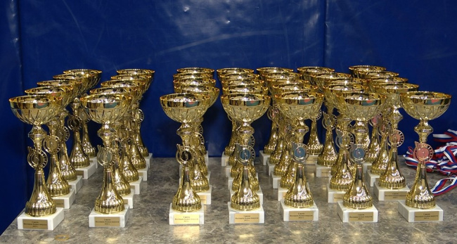 Фестиваль боевых искусств в Коломне