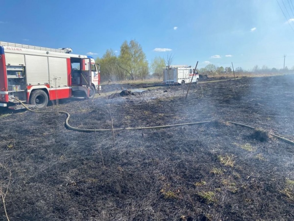 Пожарные потушили пал травы в Луховицах