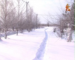 Жители Семеновского оказались отрезаны от мира снегом
