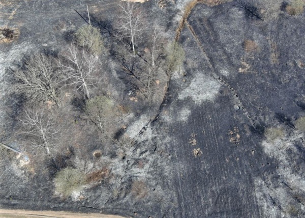 За выходные в регионе произошло 14 лесных пожаров
