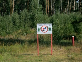 В Московской области пожароопасный сезон проходит спокойно