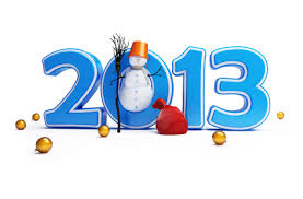 Каким был 2013 год для коломенцев? 