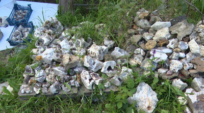 Коллекцию минералов собрал дома житель Коломны