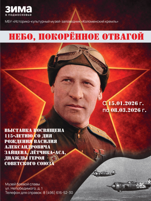 Выставка "Небо, покорённое отвагой"