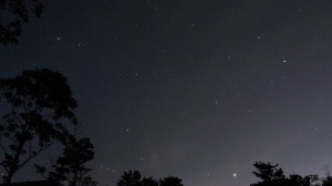 В декабре Подмосковье сможет наблюдать два метеорных потока