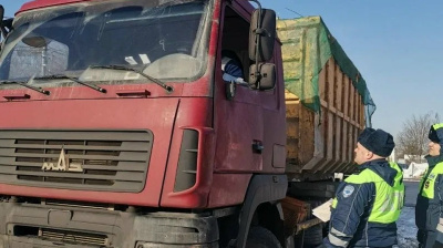 В Коломне оштрафовали мужчину за незаконную перевозку и выгрузку отходов