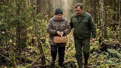 Любители "тихой охоты" в Подмосковье могут быть уверены, что на помощь придут спасатели и лесничие
