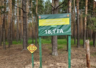 Возле Озёр проведены важные оздоровительные мероприятия в лесу