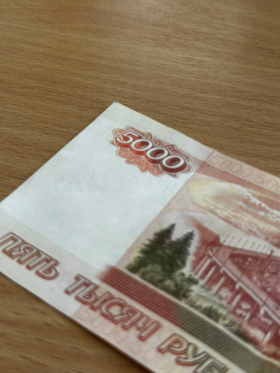 В Коломне братья украли 5 миллионов рублей у банка