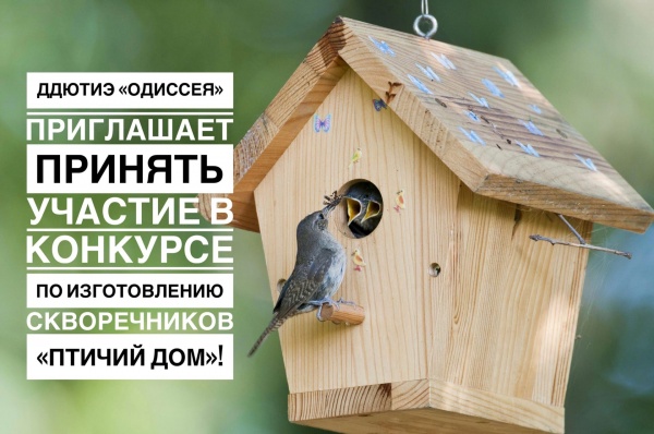 В Коломне объявлен конкурс скворечников "Птичий дом"