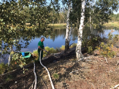Осень в подмосковных лесах началась с лесного пожара