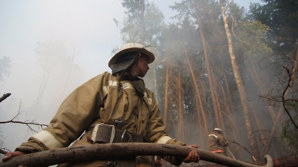В Московской области 10 апреля начался пожароопасный сезон