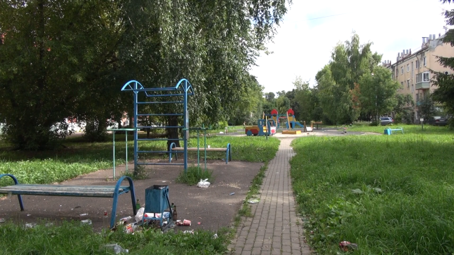 Тайная жизнь детских площадок