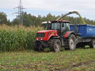 Озёрские аграрии готовятся обеспечить скот полноценным питанием на зиму