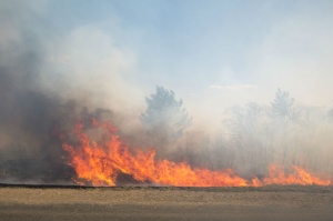 Коломенские школьники предотвратили серьезный пожар