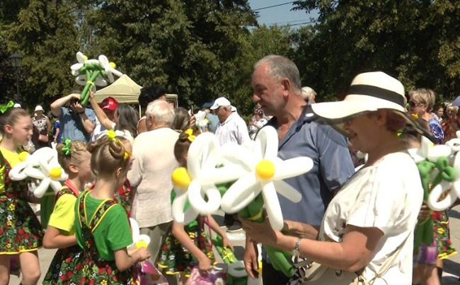 Ромашковое счастье в Коломне