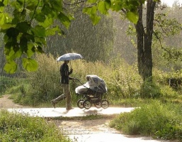 Жара и кратковременные дожди ожидаются в Подмосковье во вторник