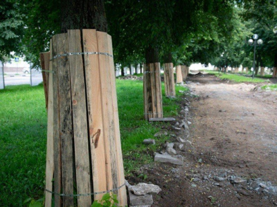 Реконструкция сквера имени Горшкова продолжается