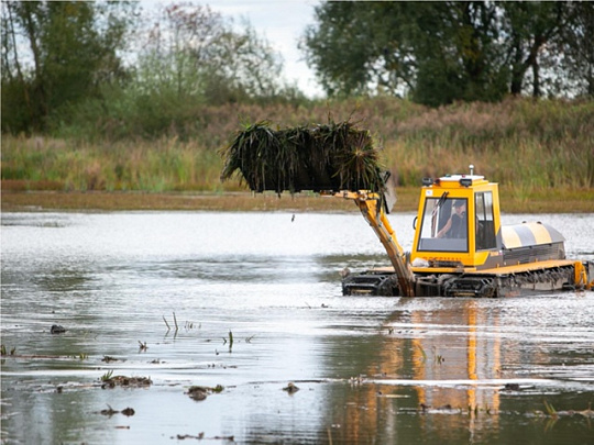 В Коломне очистили от мусора пять водоёмов