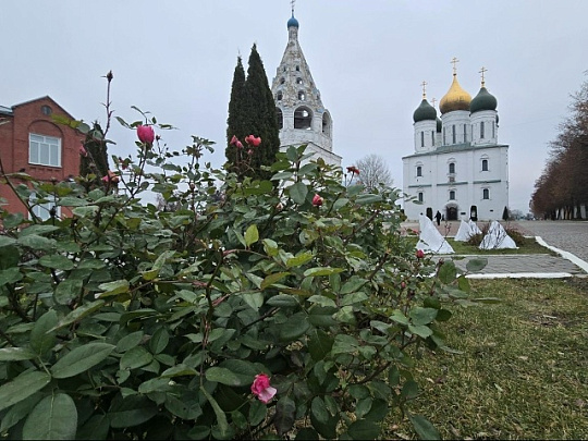 Первый день зимы Коломна встречает с цветущими газонами