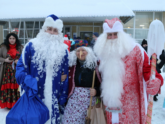Зимнее торжество в луховицком парке 