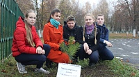 В Коломне прошла экологическая акция "Зеленое кольцо славы"