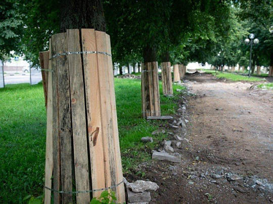 Реконструкция сквера имени Горшкова продолжается