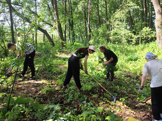 Коломенские студенты благоустроили семейную усадьбу Достоевских