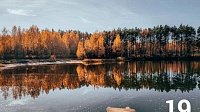 Комлесхоз подвёл итоги осеннего конкурса лесных фотографий